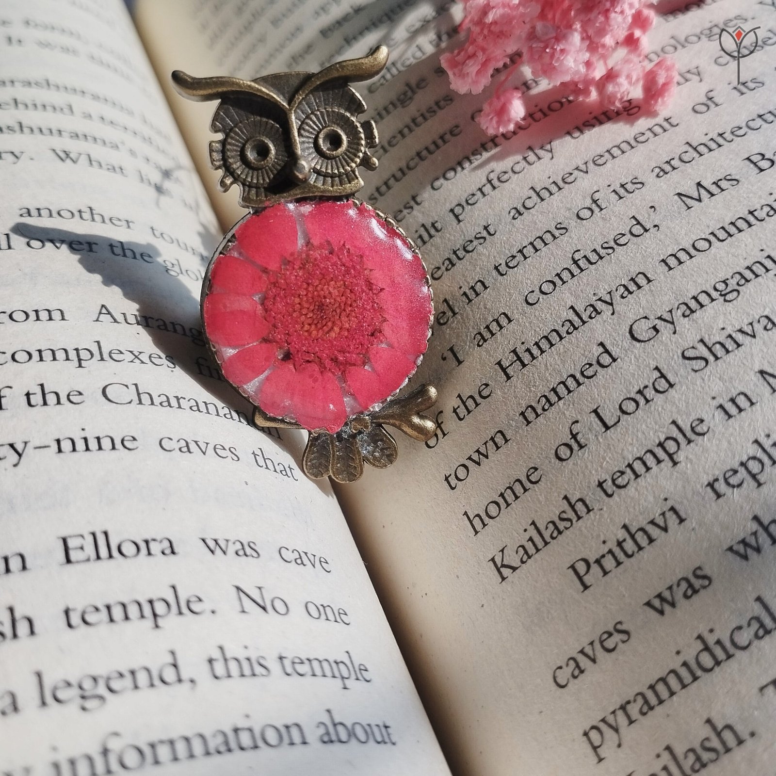 owl-of-bloom-floral-ring-real-daisy Handcrafted Owl of Bloom Ring preserved pink daisy flower