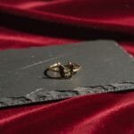 Dark Butterfly Ring in golden butterfly