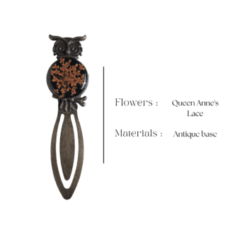 Antique owl bookmark with dried Queen Anne’s Lace floral detail