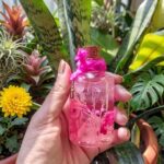 Translucent white hydrangea and pink baby's breath in mineral oil