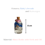 preserved in oil glass bottle home decor