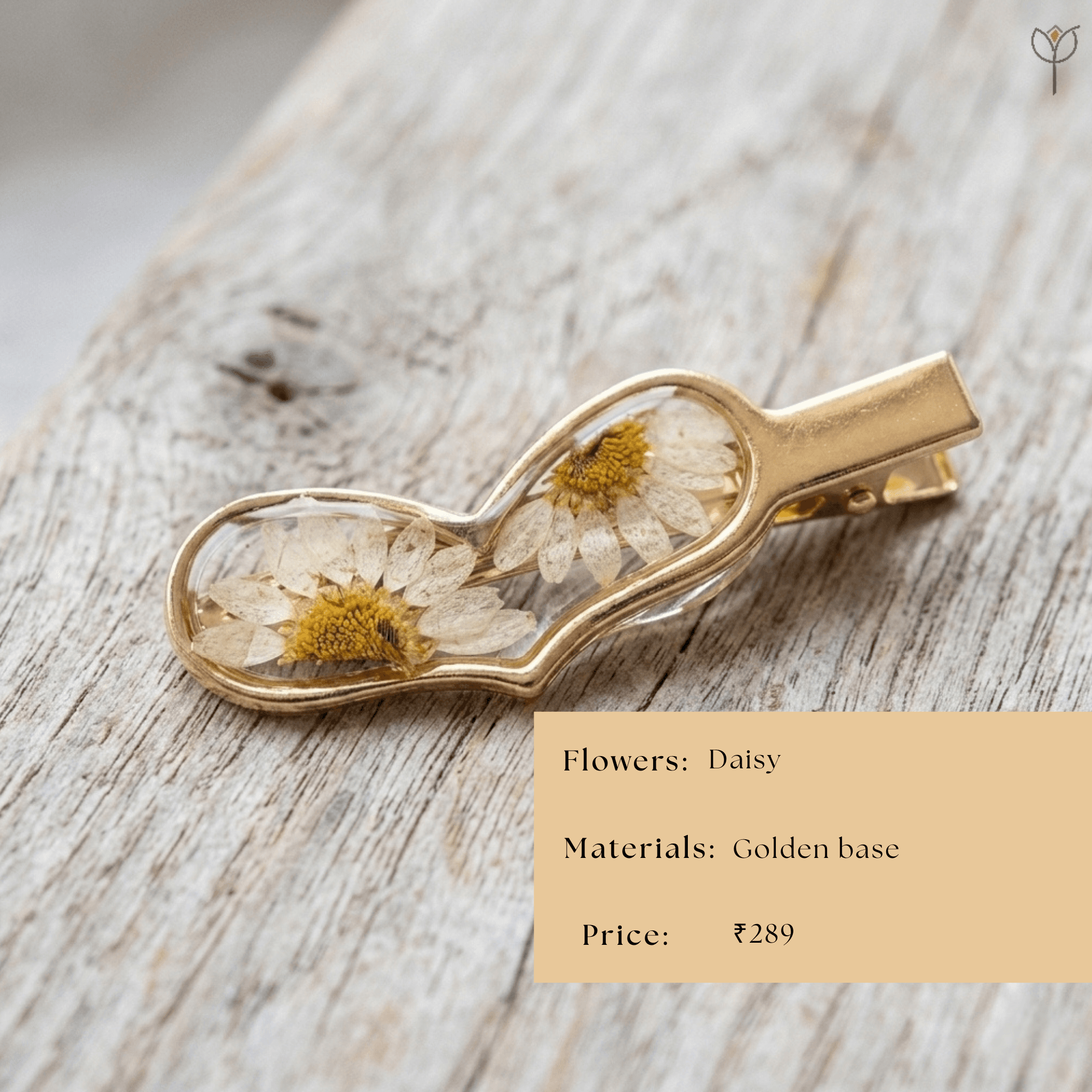 flora-gleam-daisy-clip Golden base hair clip with real daisy petals