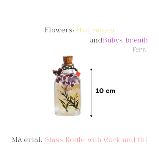 Preserved hydrangea, baby’s breath and fern in mineral oil glass bottle decorative piece