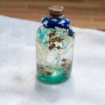 Mineral oil preserved hydrangea glass bottle decor
