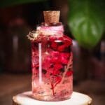Alchemists Promise Glass Garden displayed as mystical botanical home decor on a dark wooden shelf