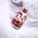 Berry Blush Glass Garden cute affordable preserved flower gift for birthday return gift and decor in India