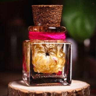 Candlelit Sunflower Preserved Glass Garden close-up of real dried sunflower petals preserved in warm golden mineral oil