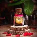 Candlelit Sunflower Preserved Glass Garden with real dried sunflower in mineral oil cork bottle by MystikFalls