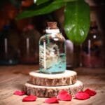 Dreamwave Glass Garden with real preserved flowers in mineral oil cork bottle by MystikFalls