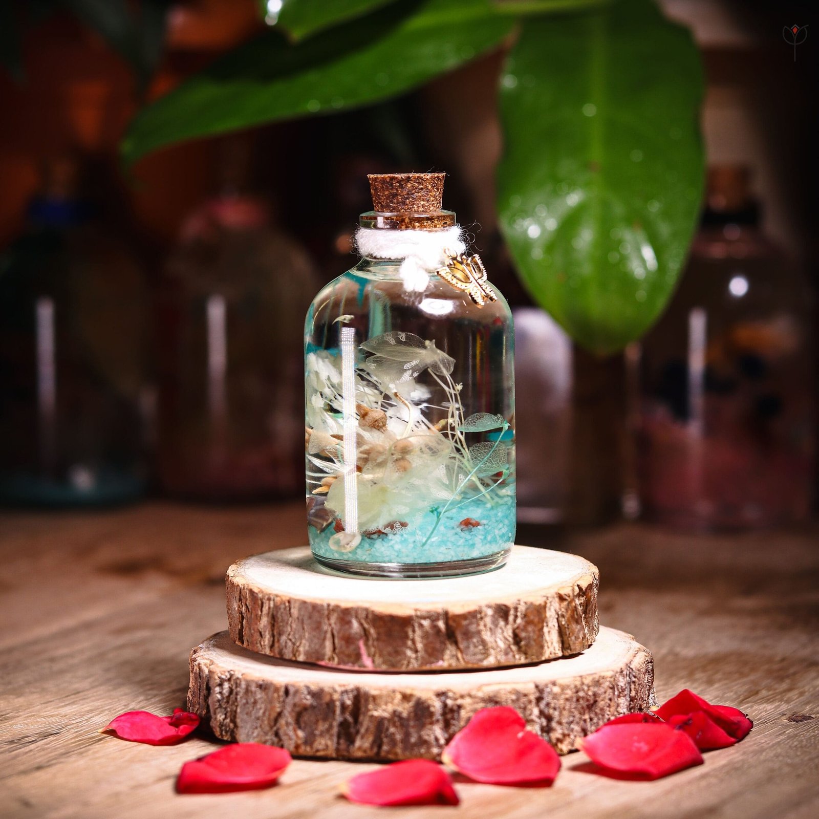 dreamwave-glass-garden-preserved-flower-mystikfalls Dreamwave Glass Garden with real preserved flowers in mineral oil cork bottle by MystikFalls