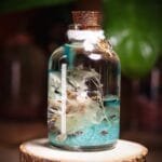 Dreamwave Glass Garden close-up of real preserved dreamy pastel flowers and botanicals floating in clear mineral oil