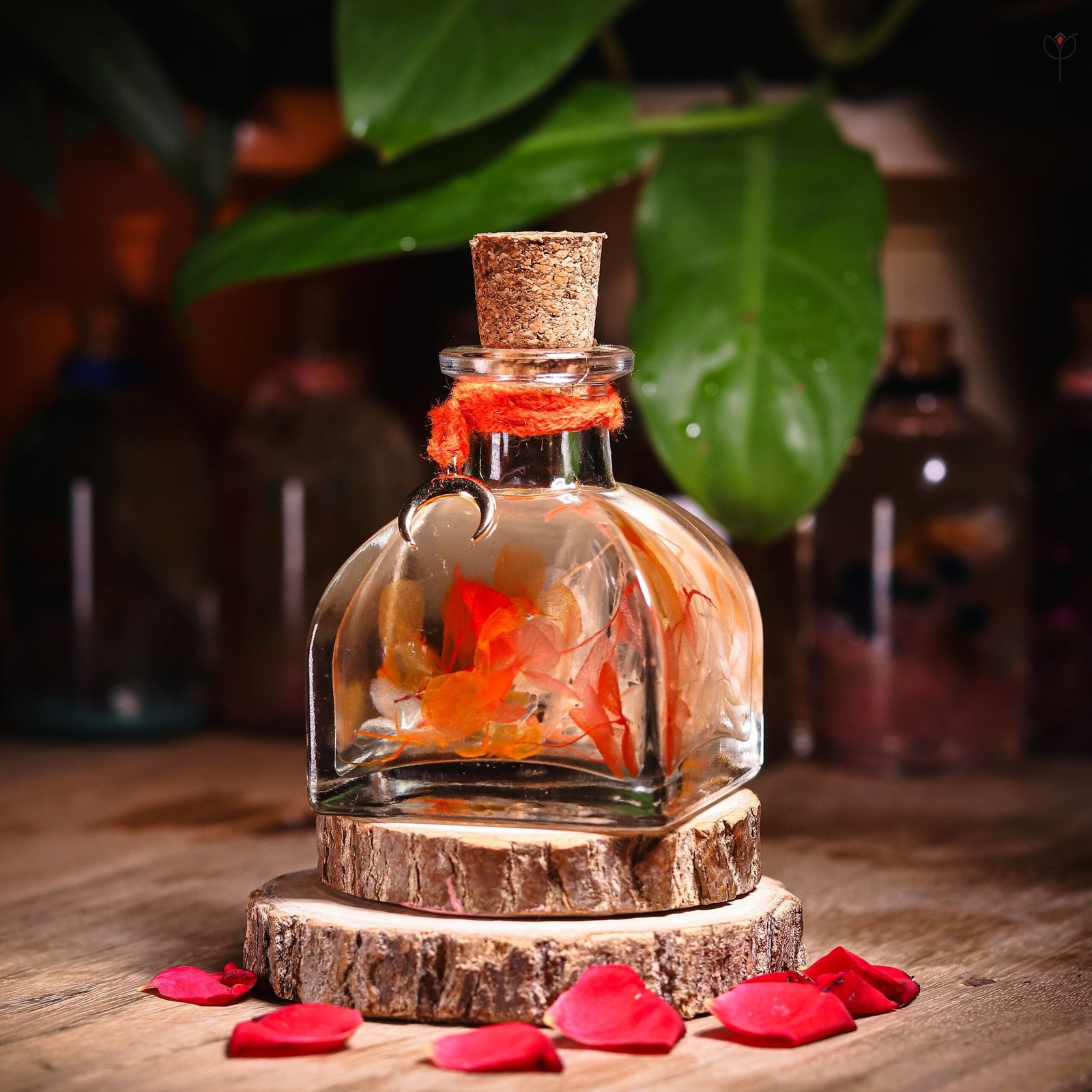 Flame Petal Glass Garden with real preserved orange hydrangea in mineral oil arch cork bottle by MystikFalls