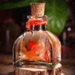 Flame Petal Glass Garden close-up of real preserved orange and red hydrangea petals floating in clear mineral oil