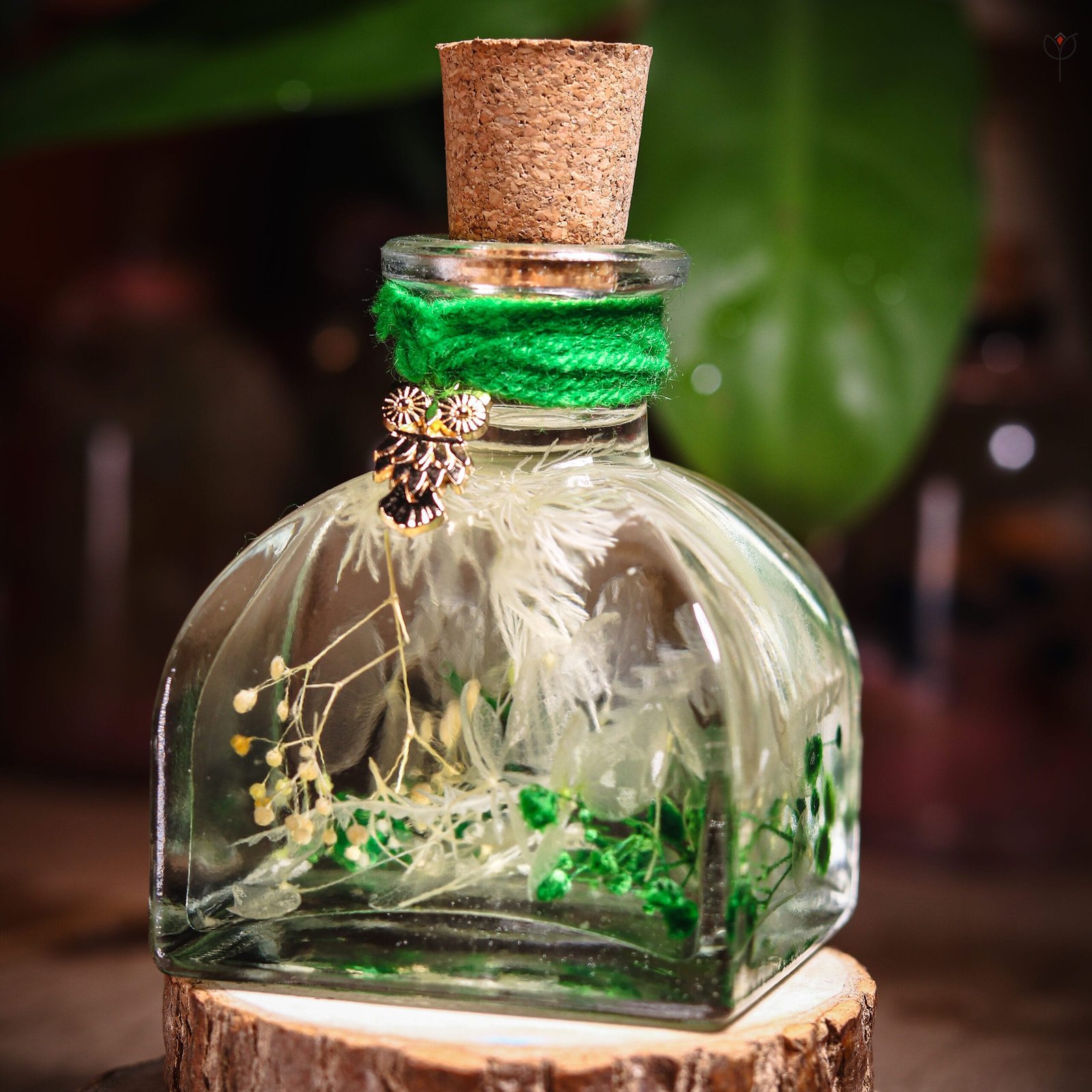 forest-dewdrop-glass-garden-real-babys-breath-closeup Forest Dewdrop Glass Garden close-up of real preserved baby's breath hydrangea and green botanicals in clear mineral oil