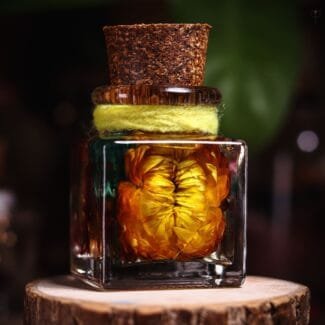Golden Solace Mini Sunflower Glass Garden detailed view of tiny dried sunflower head preserved in mineral oil