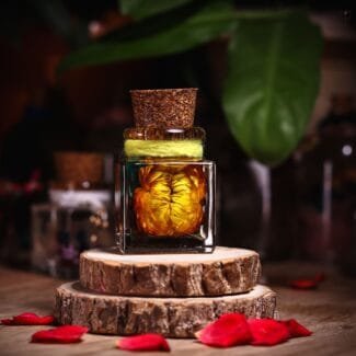 Golden Solace Mini Sunflower Glass Garden real dried sunflower preserved in clear oil inside handmade cork bottle