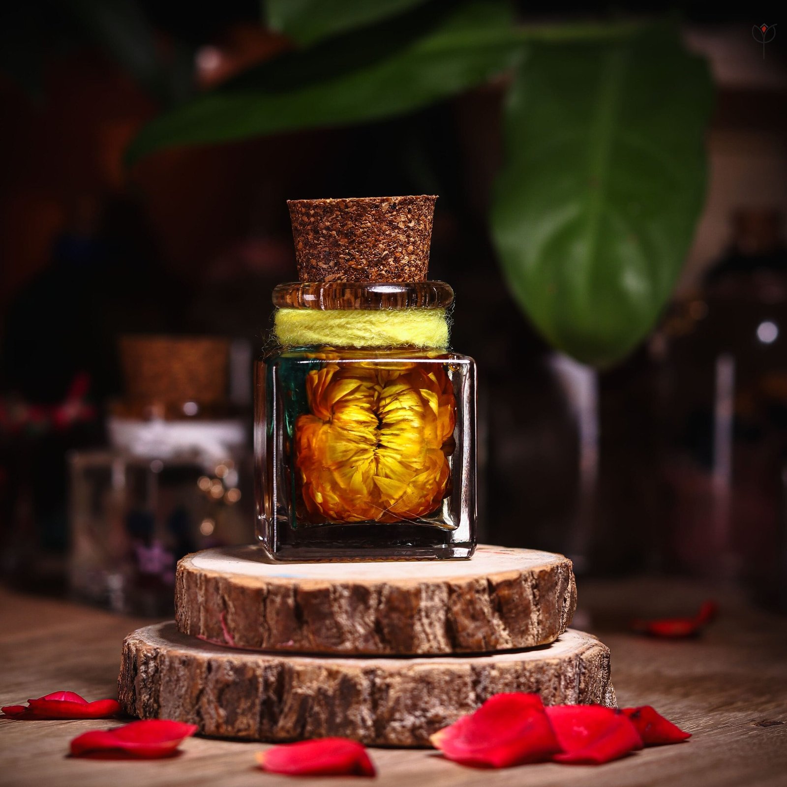 golden-solace-mini-sunflower-glass-garden-real-flower-bottle Golden Solace Mini Sunflower Glass Garden real dried sunflower preserved in clear oil inside handmade cork bottle