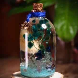 Green Sea Glass Garden displayed as coastal preserved botanical home decor accent on a shelf