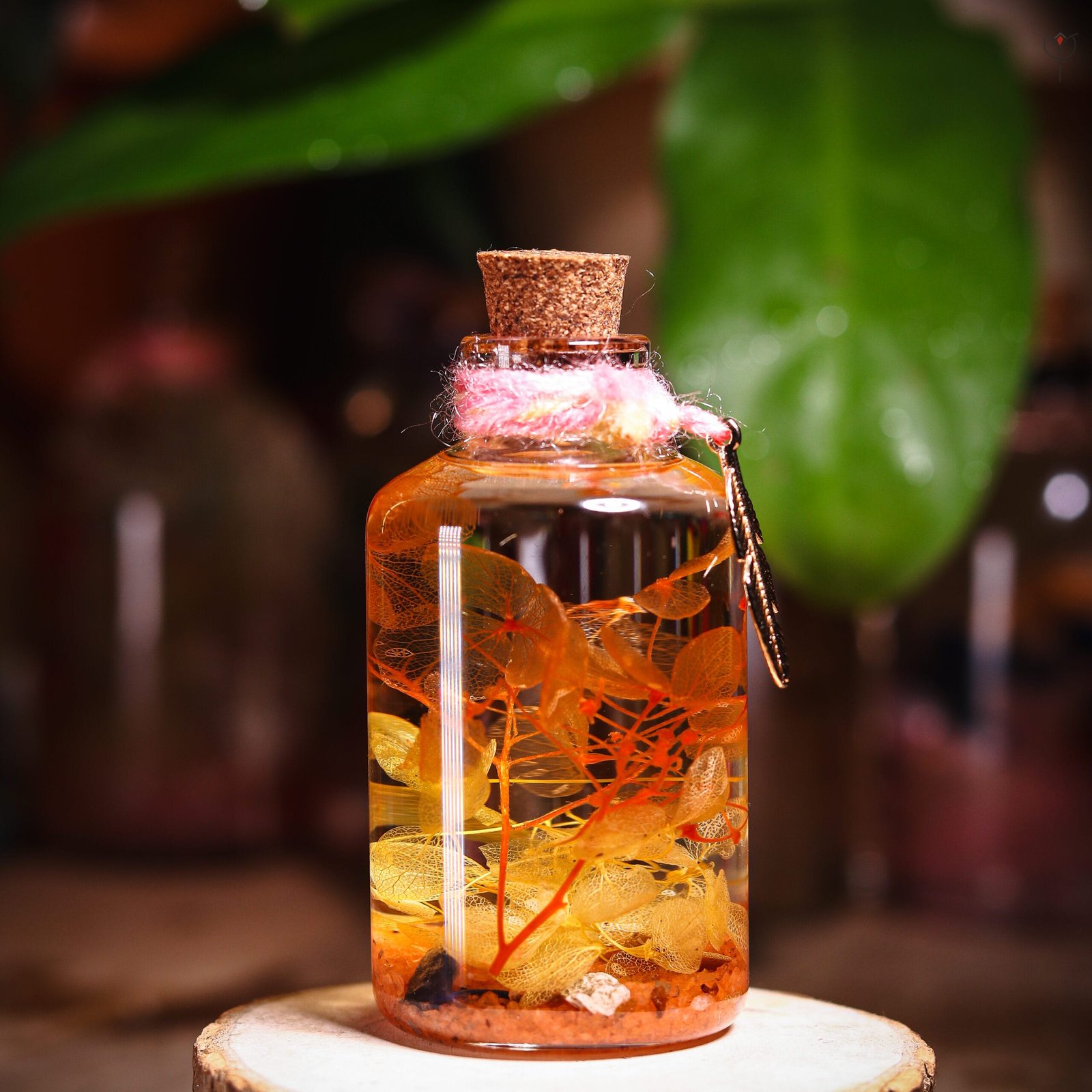 Honey Bloom Glass Garden close-up of real preserved amber hydrangea petals and red stems floating in warm mineral oil