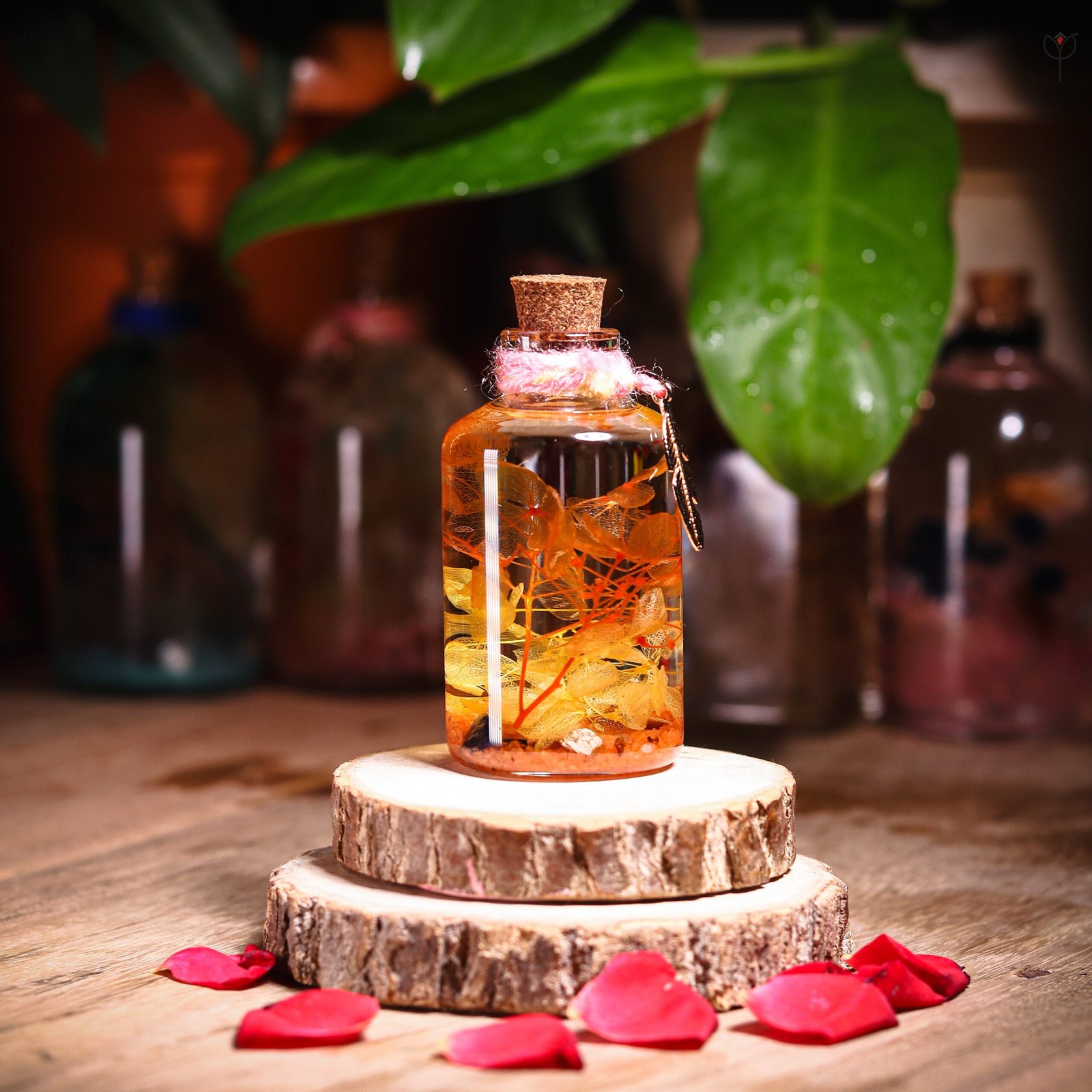 Honey Bloom Glass Garden with real preserved golden hydrangea in mineral oil small cork bottle by MystikFalls