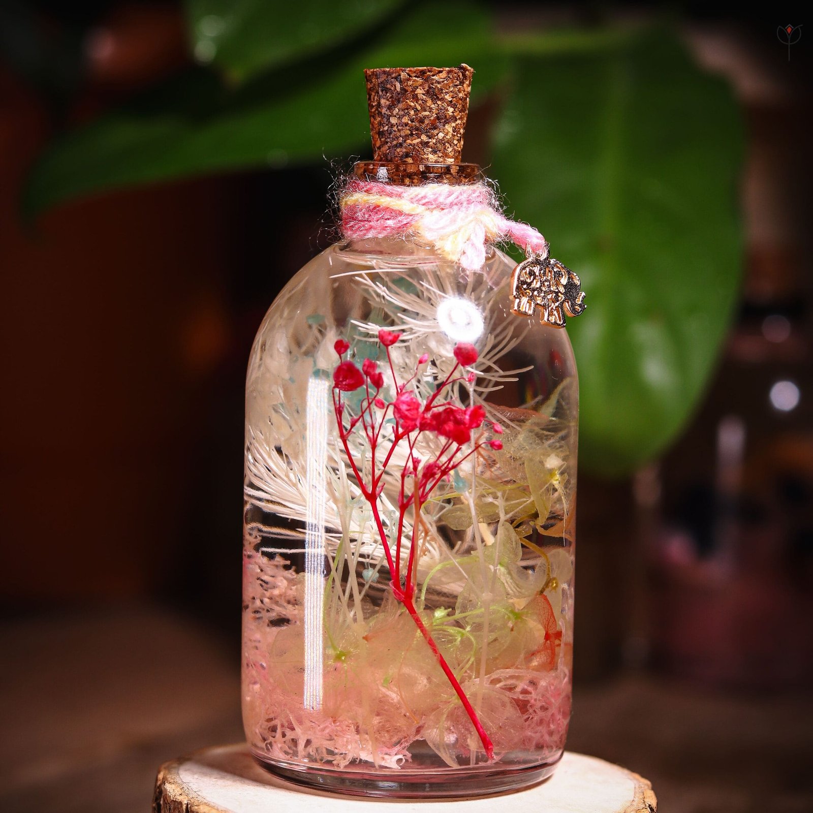 Little Safari Glass Garden close-up of real preserved pink baby's breath pink moss and hydrangea floating in mineral oil