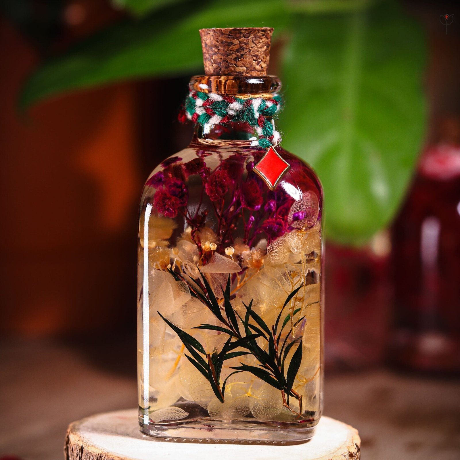miniature-botanical-glass-garden-desk-shelf-decor-display Miniature Botanical Glass Garden displayed as small desk and shelf decor with real preserved botanicals