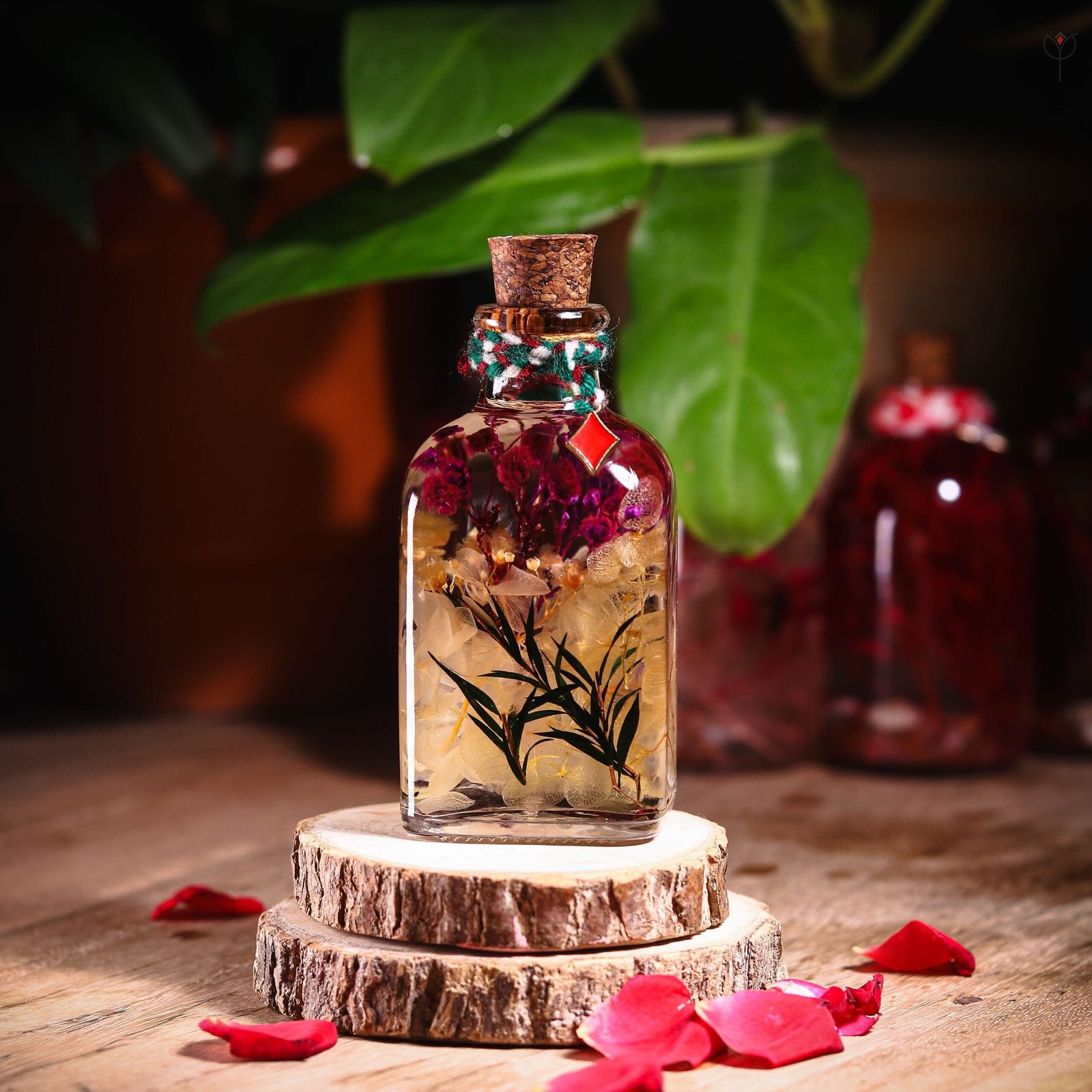 miniature-botanical-glass-garden-preserved-flower-mystikfalls Miniature Botanical Glass Garden with real preserved flowers in mineral oil cork bottle by MystikFalls