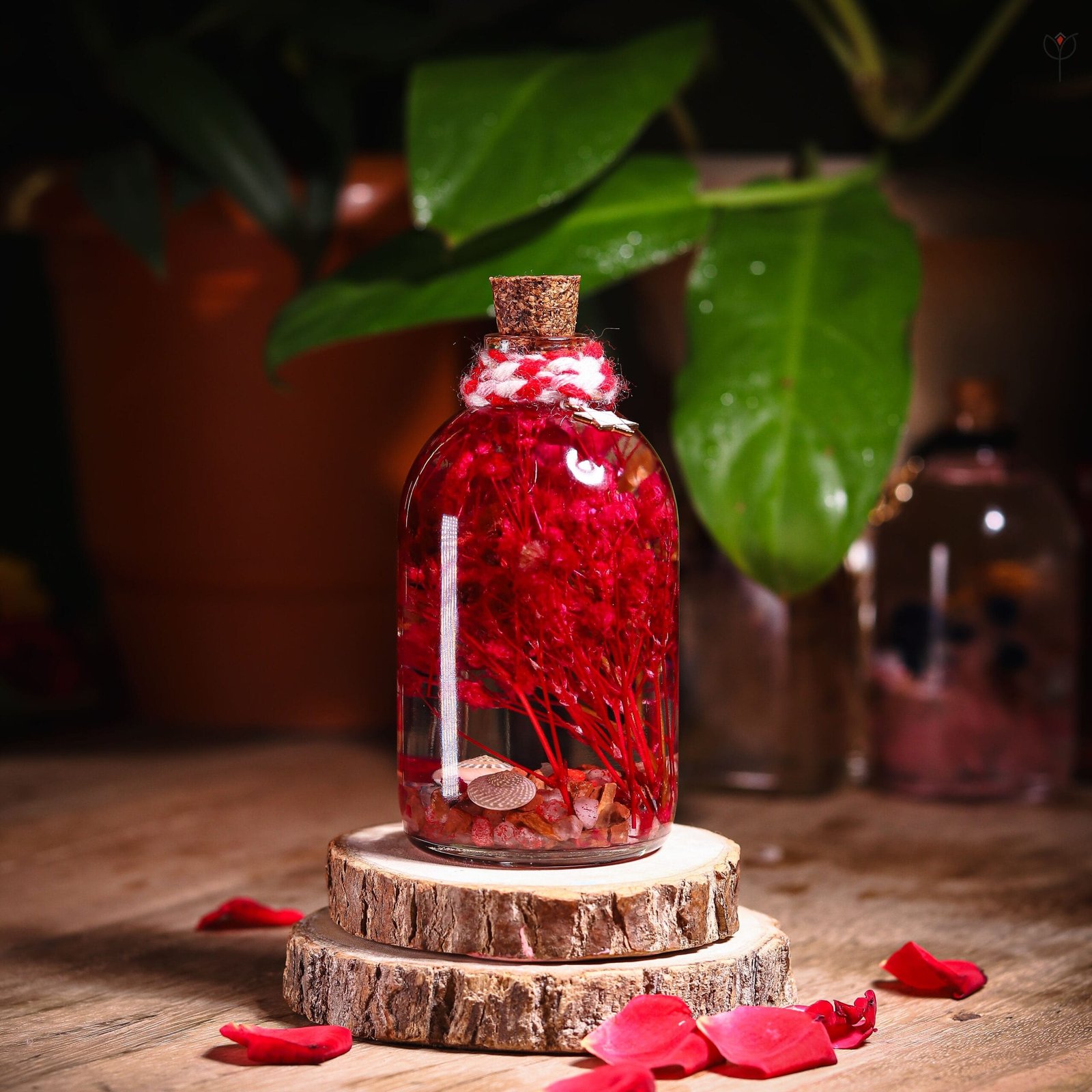 pink-spellbound-glass-garden-preserved-flower-mystikfalls Pink Spellbound Glass Garden with real preserved pink flowers in mineral oil cork bottle by MystikFalls