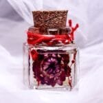 Pocket Sunshine Glass Garden displayed as cheerful bright desk and shelf decor in a sunny room