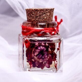 Pocket Sunshine Glass Garden displayed as cheerful bright desk and shelf decor in a sunny room