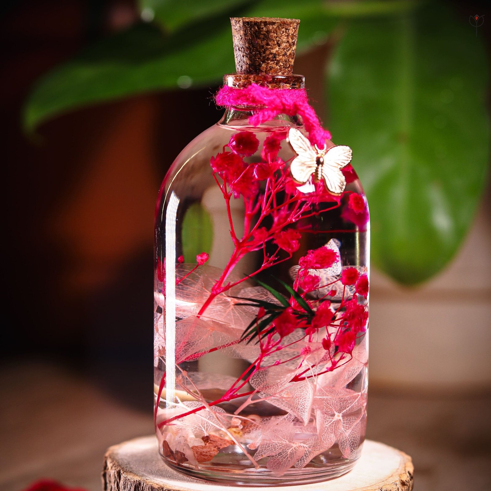 Preserved real flower glass garden displayed as handmade home decor and housewarming gift in India