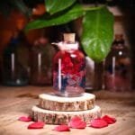 Rainbow Mist Glass Garden with real preserved colourful flowers in mineral oil cork bottle by MystikFalls