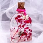 Close-up of real pink hydrangea and baby's breath preserved in mineral oil inside a cork glass bottle
