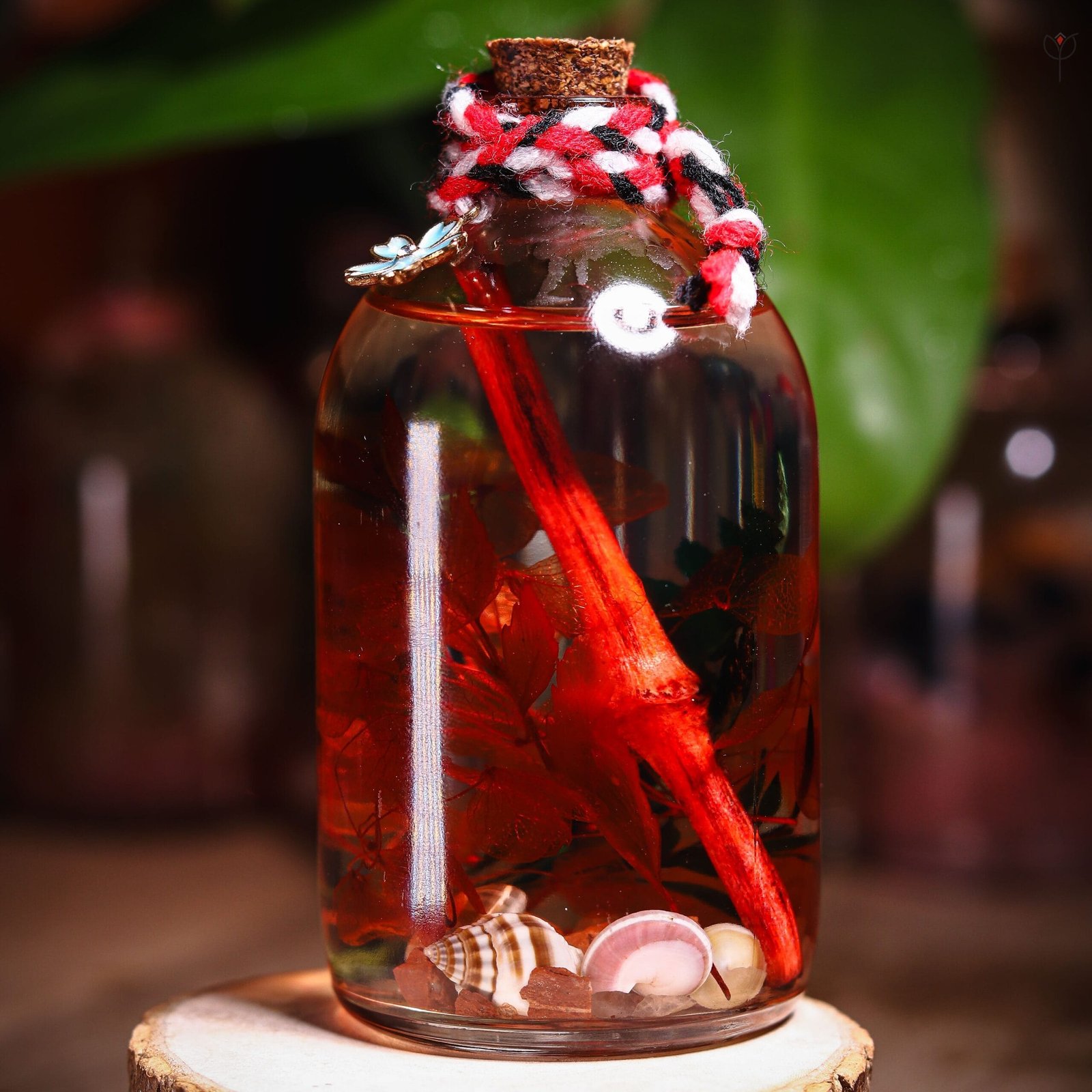 red-tide-glass-garden-real-crimson-leaf-closeup Red Tide Glass Garden close-up of real preserved deep red leaves and dark green foliage floating in mineral oil
