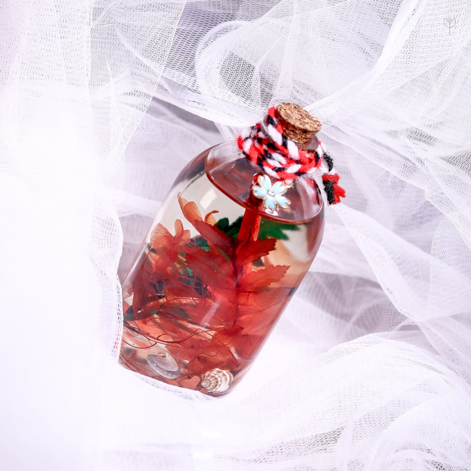 red-tide-glass-garden-unique-botanical-gift-india Red Tide Glass Garden unique preserved botanical gift with shells for birthday and statement home decor in India