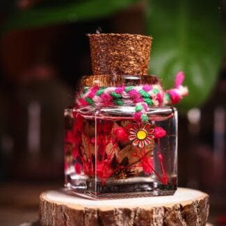 Rosita Preserved Flowers Glass Garden close-up of real bright pink baby's breath and dried botanicals in clear mineral oil