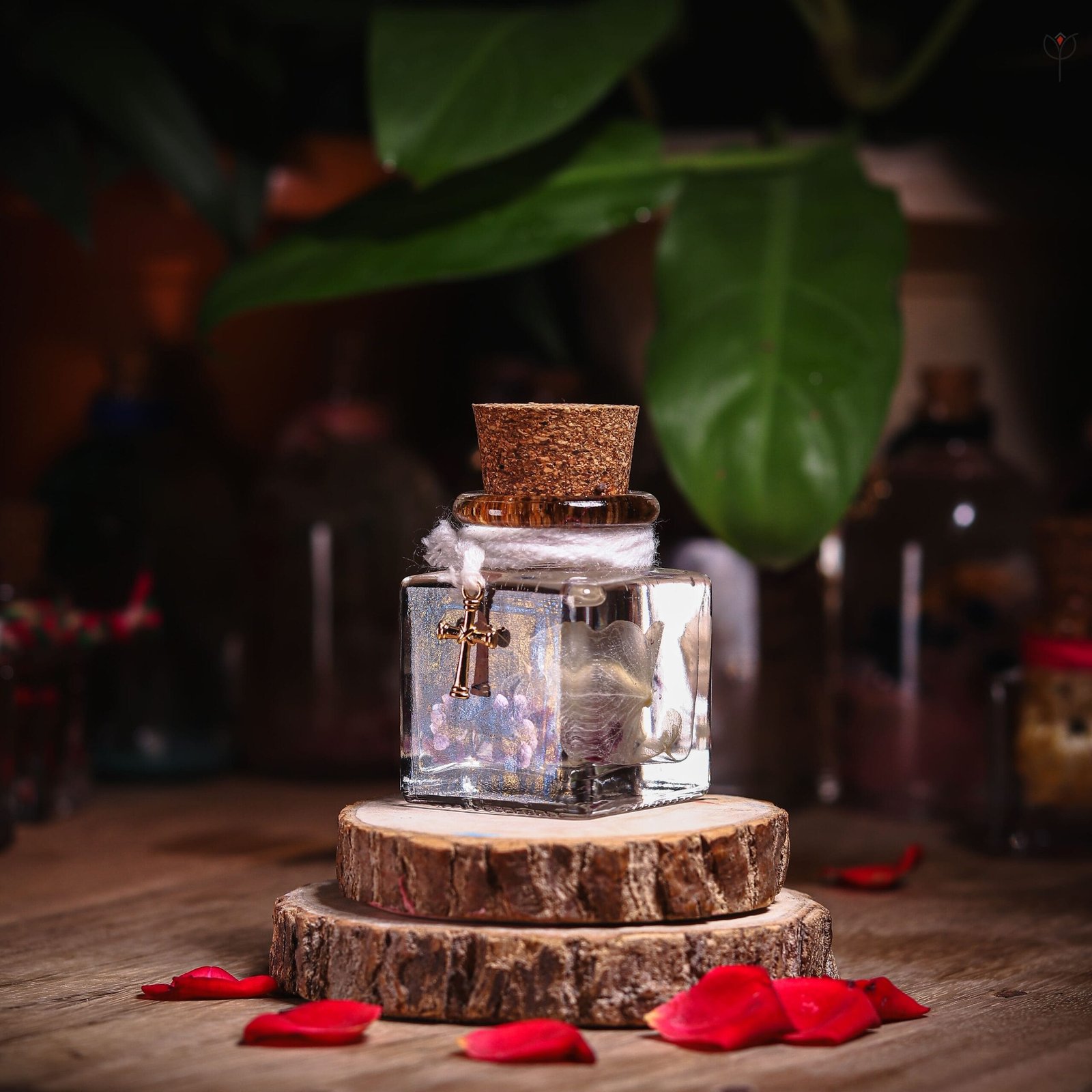 secret-key-glass-garden-preserved-flower-mystikfalls Secret Key Glass Garden with real preserved purple hydrangea and skeleton leaves in mineral oil cube bottle by MystikFalls