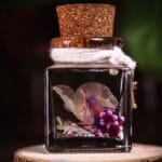 Secret Key Glass Garden close-up of real pink veined skeleton flower and purple hydrangea cluster in clear mineral oil