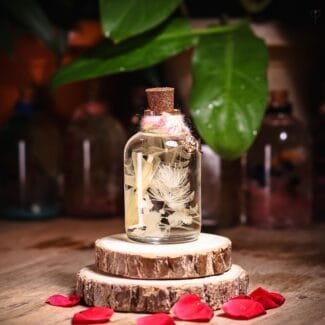 Snow Petal Glass Garden with real preserved white dried flowers and skeleton leaves in mineral oil cork bottle by MystikFalls