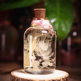 Snow Petal Glass Garden close-up of real white dandelion pom and transparent skeleton leaves floating in clear mineral oil