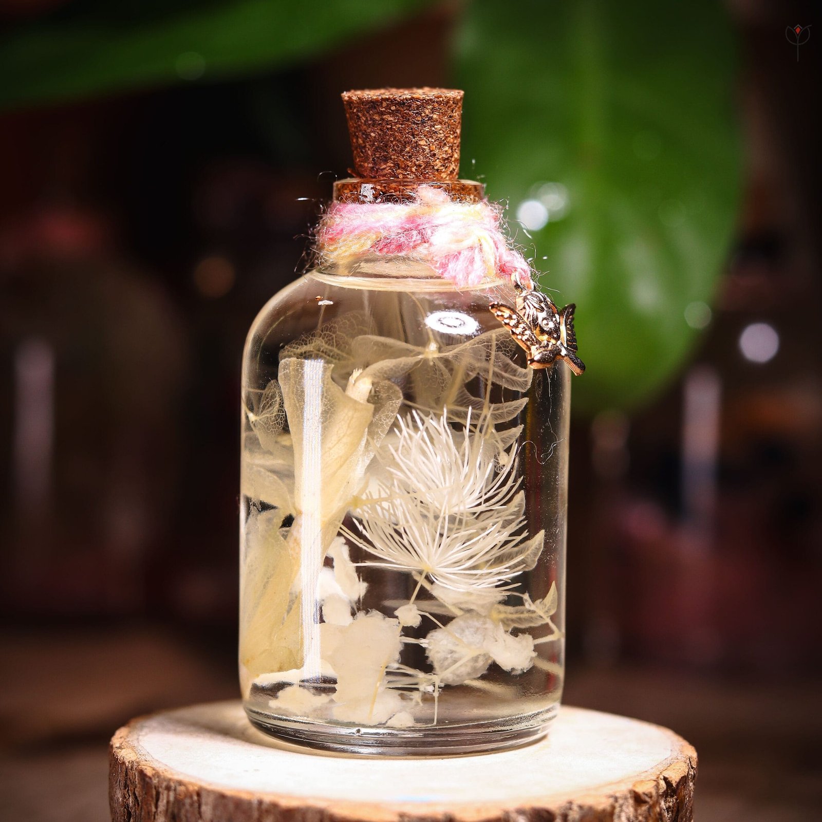snow-petal-glass-garden-white-dried-flower-closeup Snow Petal Glass Garden close-up of real white dandelion pom and transparent skeleton leaves floating in clear mineral oil