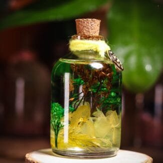 Sunlight On The Forest Glass Garden close-up of real preserved forest green botanicals and golden dried flowers in oil