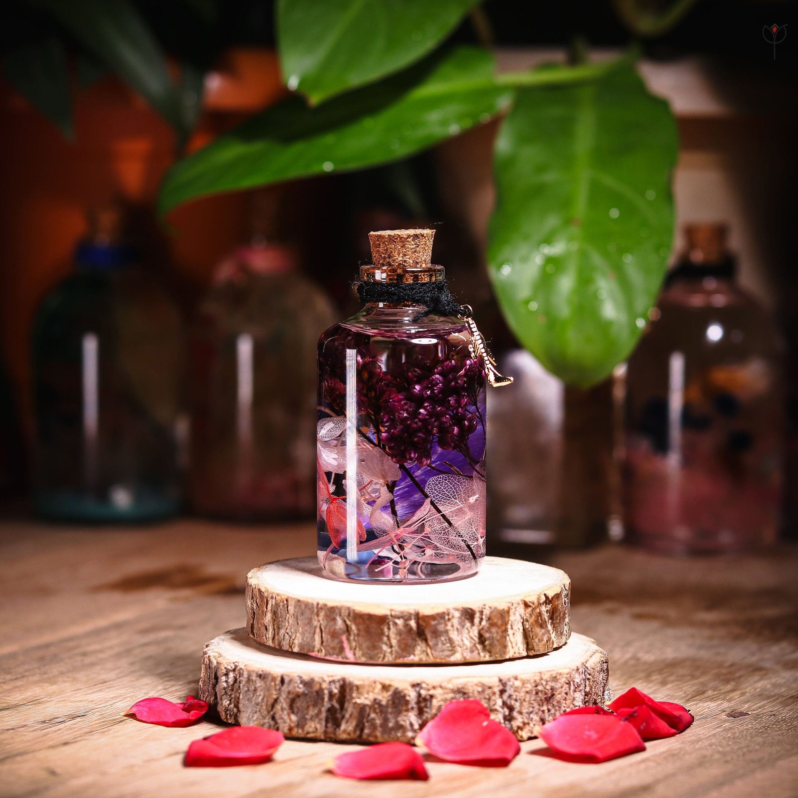 violet-veil-glass-garden-preserved-flower-mystikfalls Violet Veil Glass Garden with real preserved purple hydrangea and skeleton leaves in mineral oil cork bottle by MystikFalls