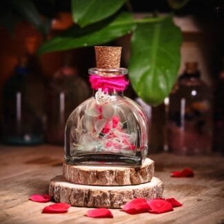 Whispers Of Baby’s Breath Preserved Glass Garden with real hydrangea in cork bottle by MystikFalls