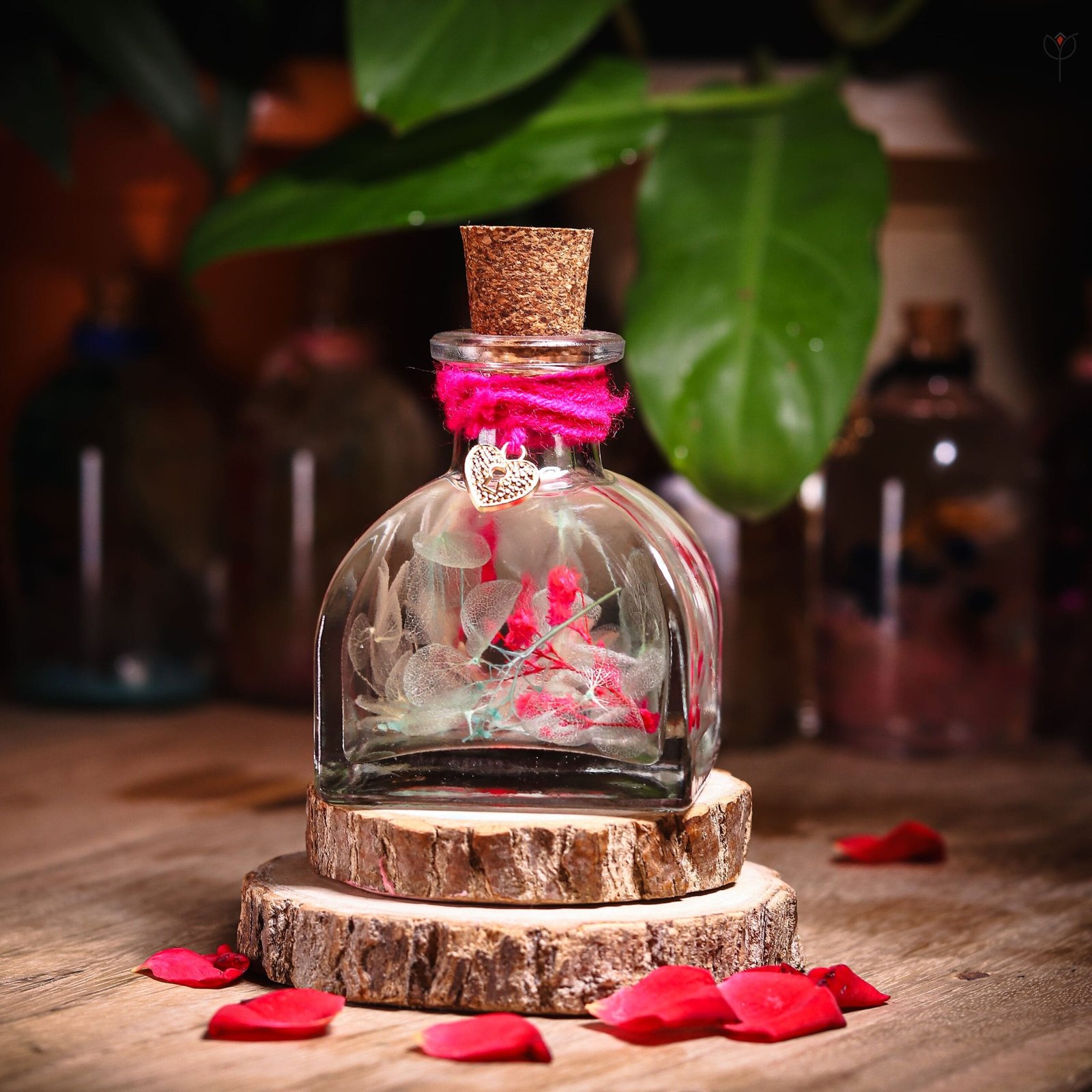 Whispers Of Baby’s Breath Preserved Glass Garden with real hydrangea in cork bottle by MystikFalls